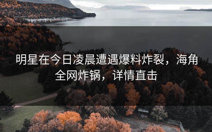 明星在今日凌晨遭遇爆料炸裂，海角全网炸锅，详情直击